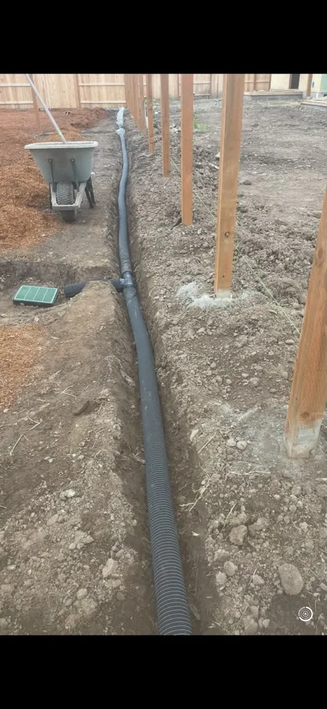 Project #34