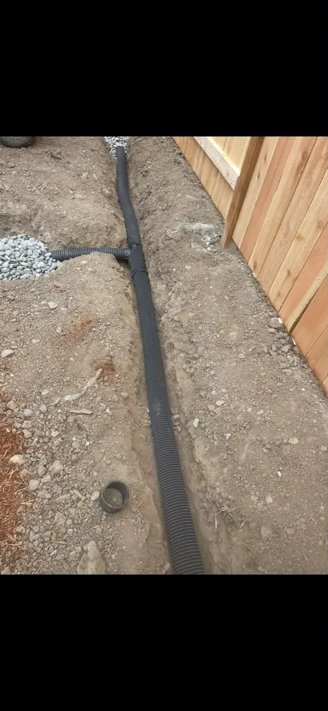 Project #35