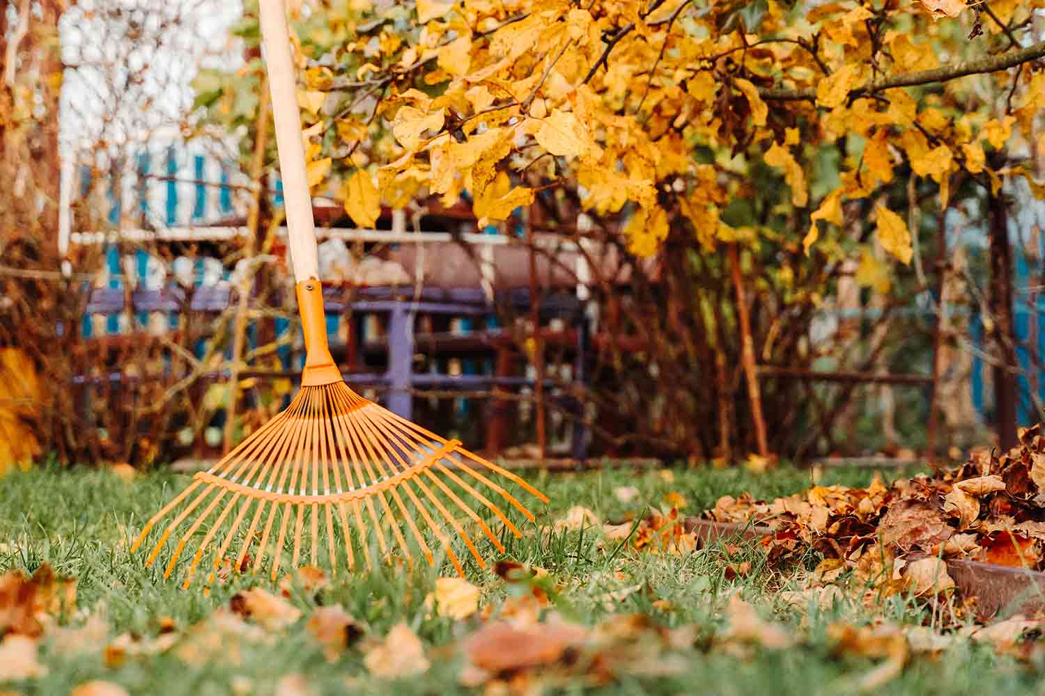 Clean Ups
